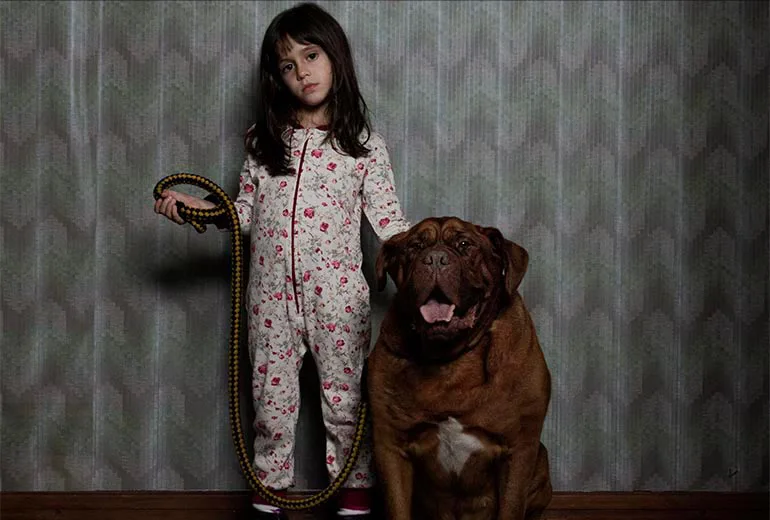 una niña sujeta de la correa y acaricia a un perro extremadamente grande y peligroso de raza dogo